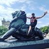 stephenelia80